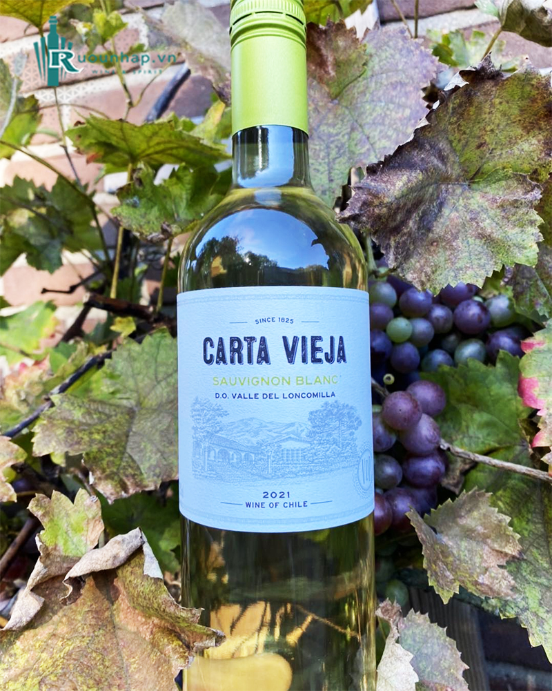 Rượu Vang Carta Vieja Sauvignon Blanc