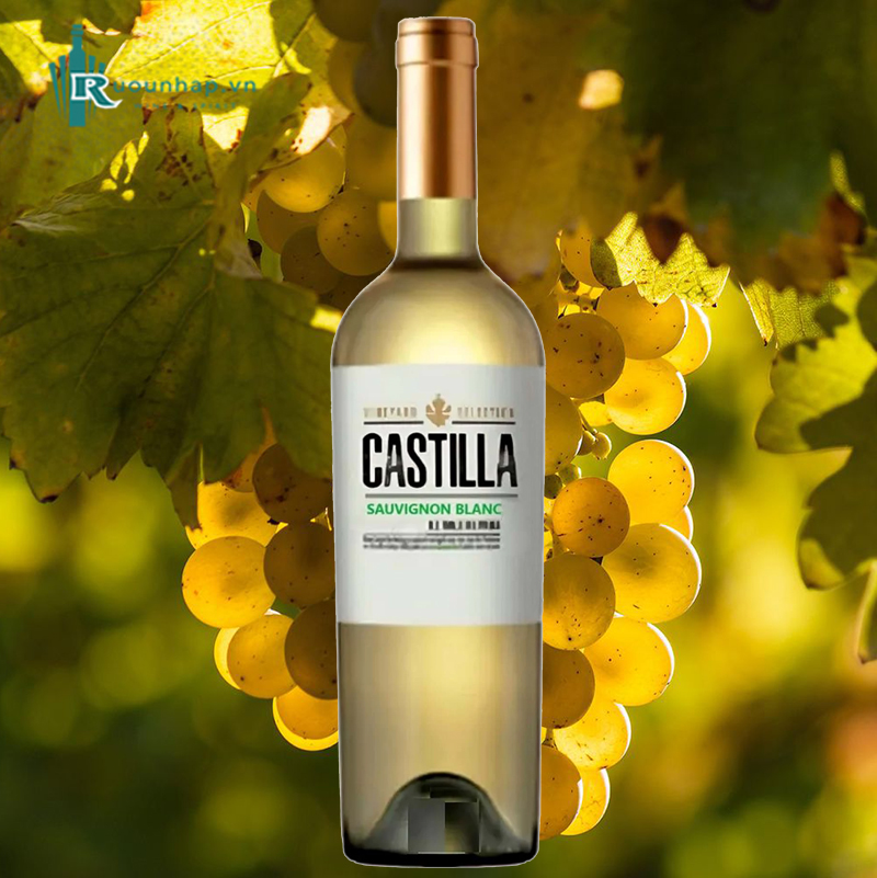 Rượu Vang Castilla Sauvignon Blanc