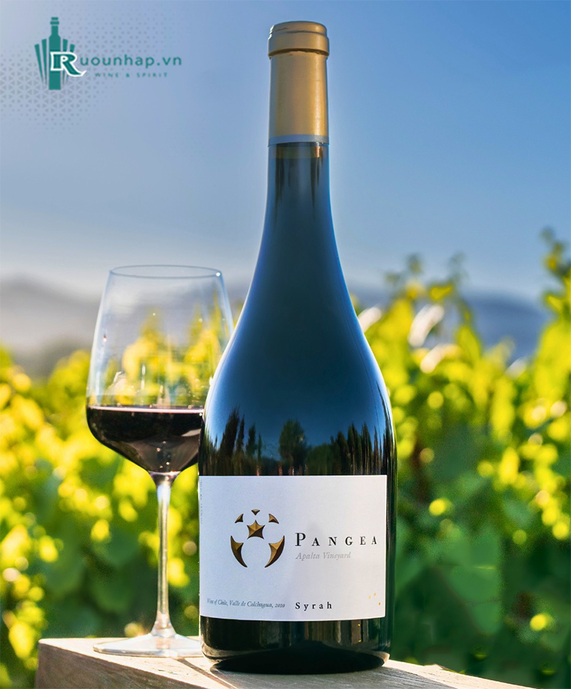 Rượu Vang Pangea Syrah
