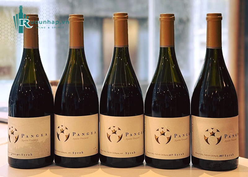 Rượu Vang Pangea Syrah