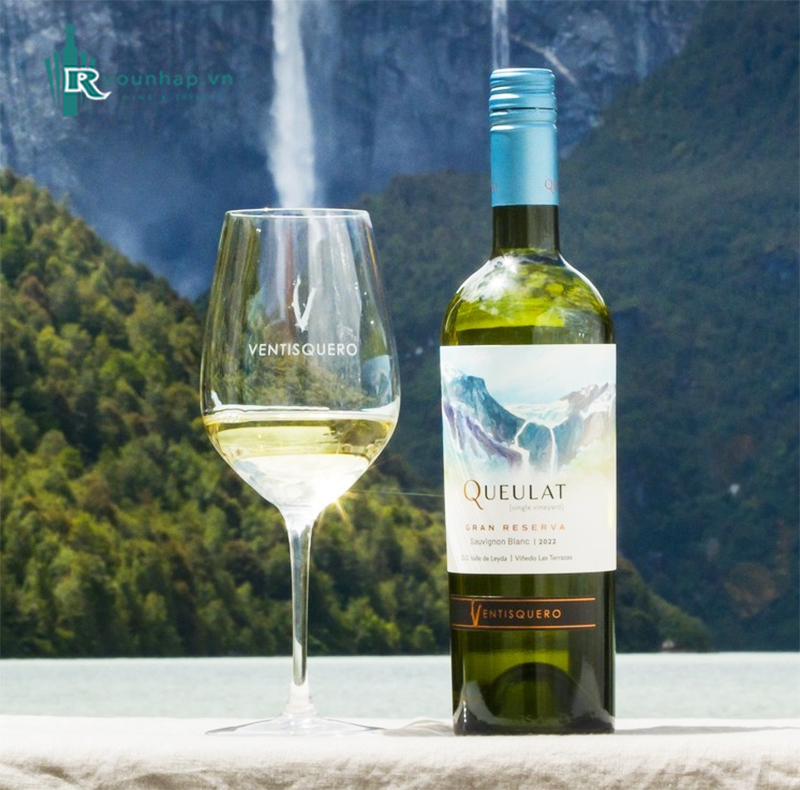 Rượu Vang Queulat Gran Reserva Sauvignon Blanc