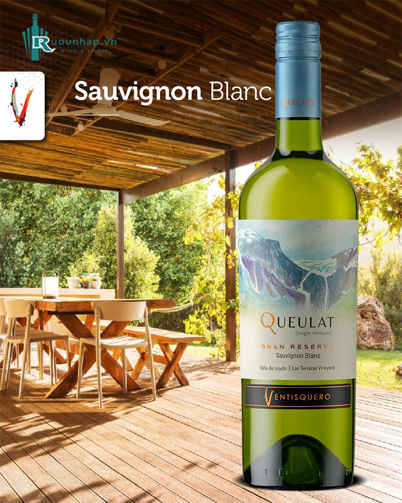 Rượu Vang Queulat Gran Reserva Sauvignon Blanc