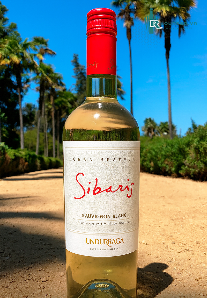 Rượu Vang Sibaris Grand Reserve Sauvignon Blanc