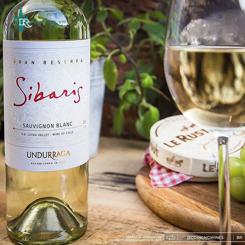 Rượu Vang Sibaris Grand Reserve Sauvignon Blanc