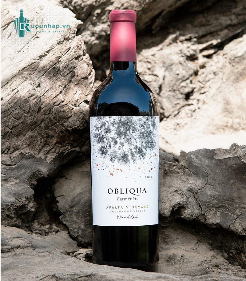 Rượu Vang Ventisquero Obliqua Carmenere