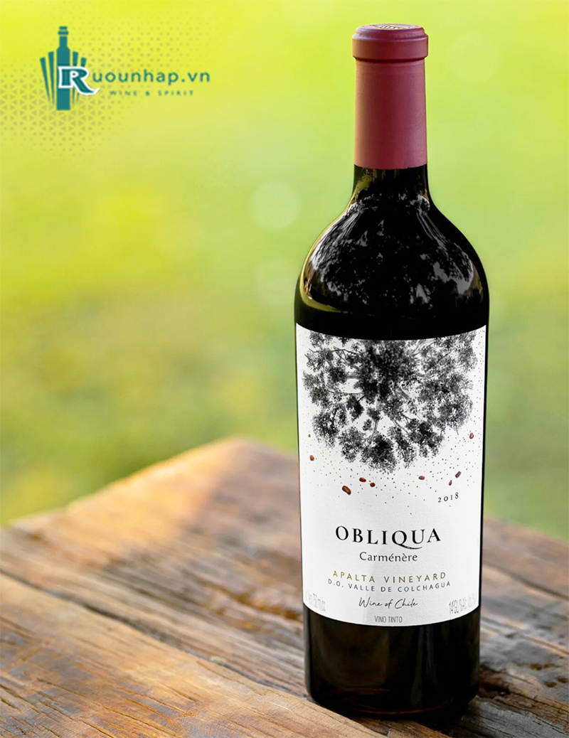 Rượu Vang Ventisquero Obliqua Carmenere