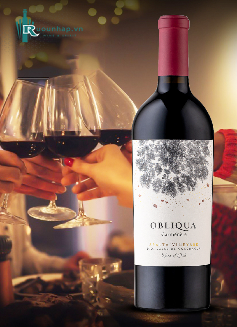 Rượu Vang Ventisquero Obliqua Carmenere