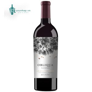 Rượu Vang Ventisquero Obliqua Carmenere