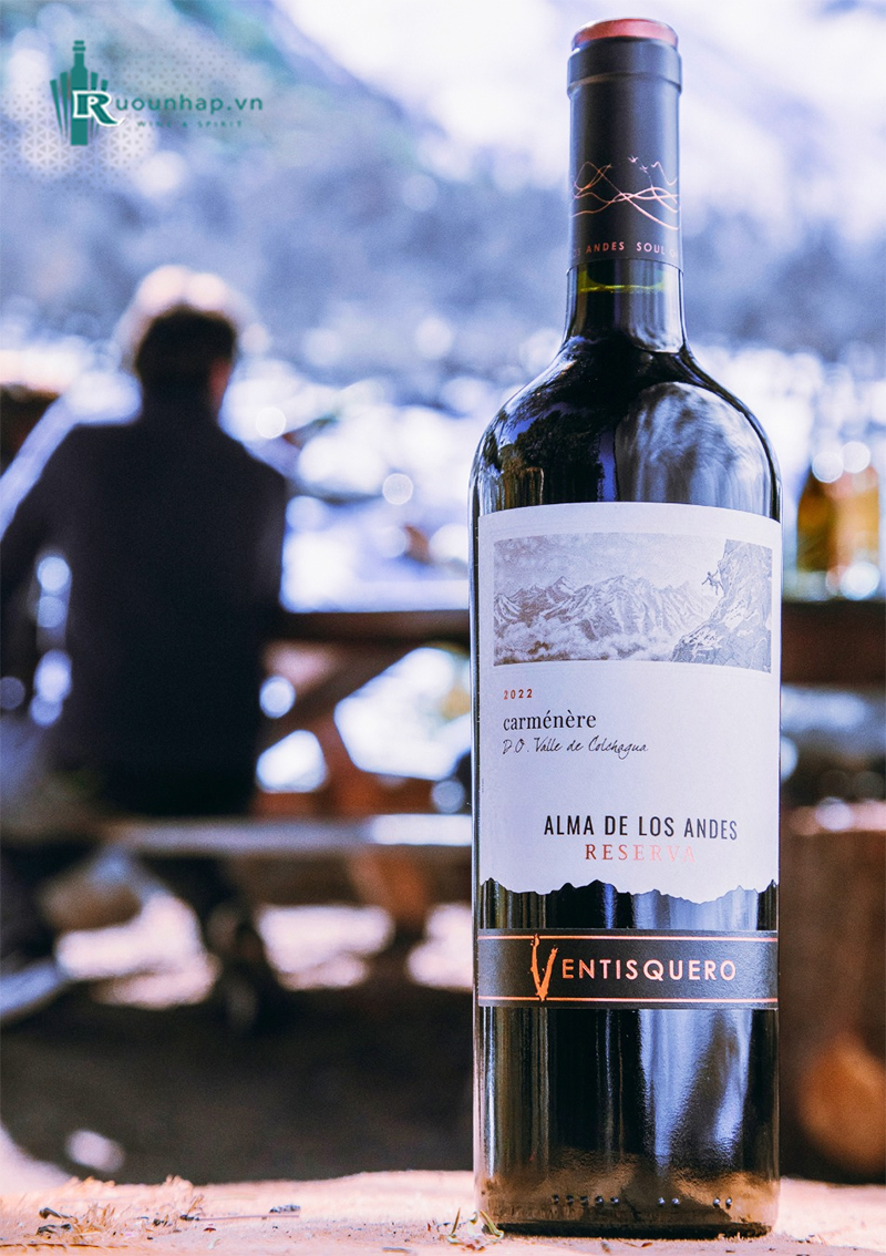 Rượu Vang Ventisquero Reserva Carmenere