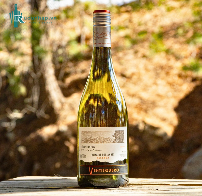Rượu Vang Ventisquero Reserva Chardonnay