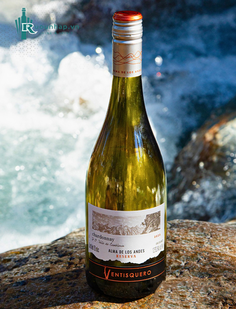 Rượu Vang Ventisquero Reserva Chardonnay