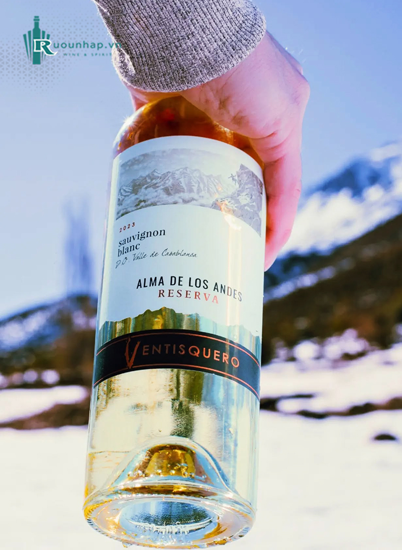 Rượu Vang Ventisquero Reserva Sauvignon Blanc