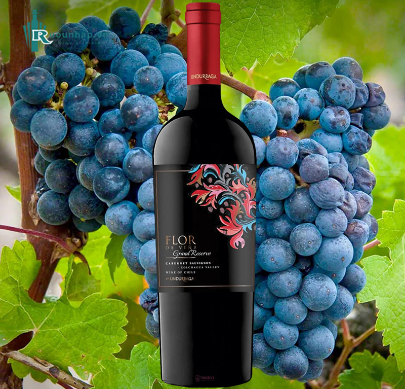 Rượu Vang Flor De Vina Grand Reserve Cabernet Sauvignon