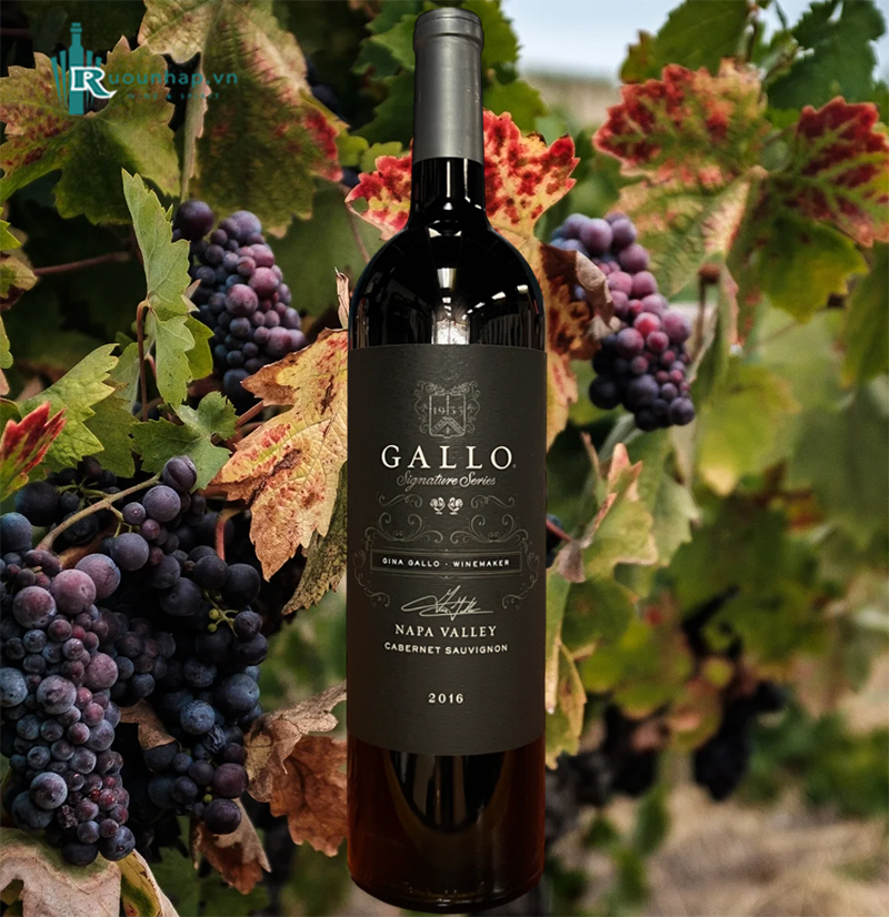 Rượu Vang Gallo Napa Valley Signature Series Cabernet Sauvignon