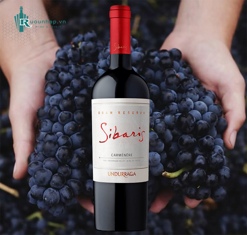 Rượu Vang Sibaris Gran Reserva Carmenere