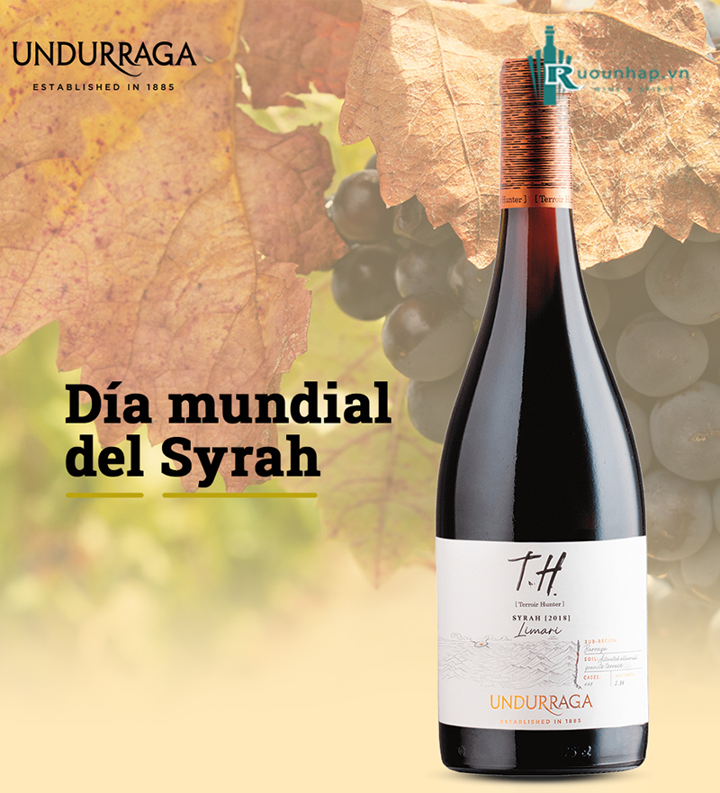 Rượu Vang T.H Syrah