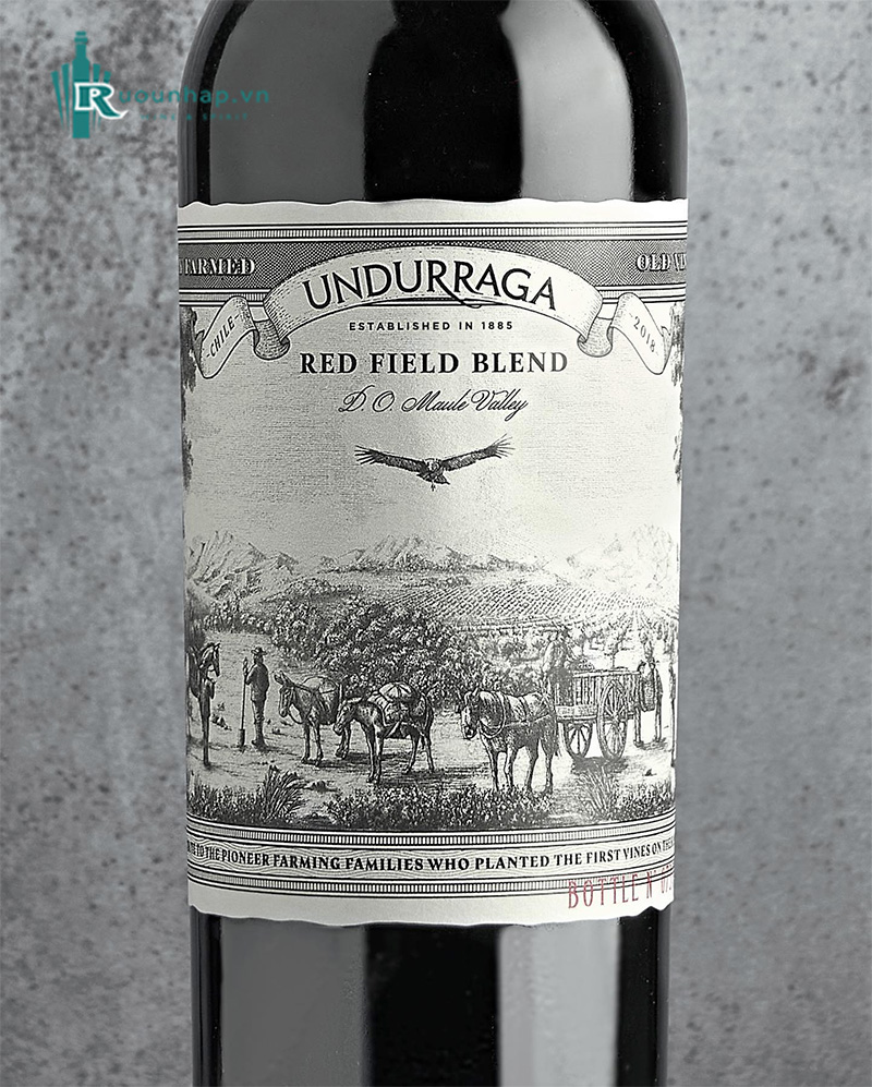 Rượu Vang Undurraga Red Field Blend
