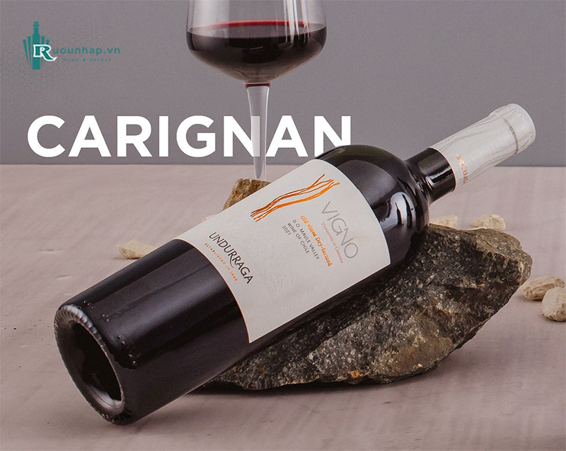 Rượu Vang Vigno Old vines Dry-farmed Carignan