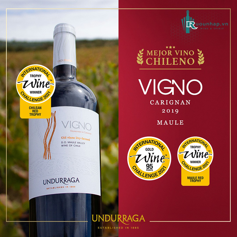 Rượu Vang Vigno Old vines Dry-farmed Carignan