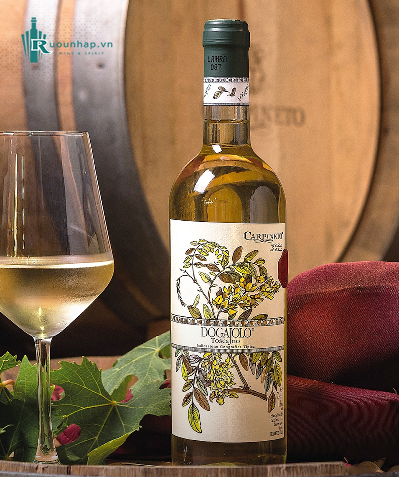 Rượu Vang Carpineto Dogajolo Bianco