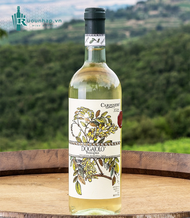 Rượu Vang Carpineto Dogajolo Bianco