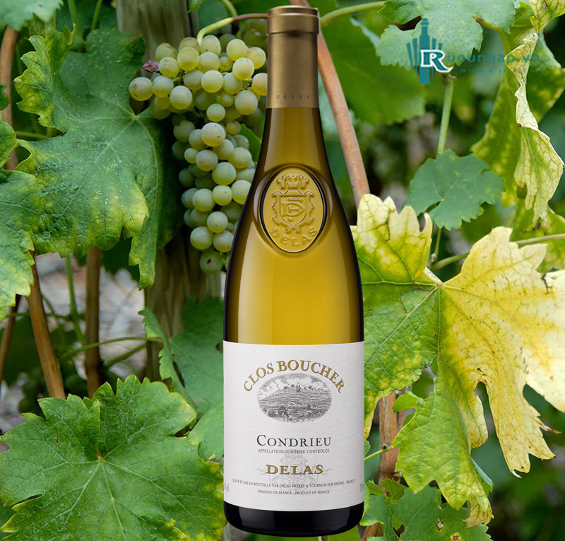 Rượu Vang Delas Condrieu Clos Boucher Blanc 4 Rượu Vang Delas Condrieu Clos Boucher Blanc
