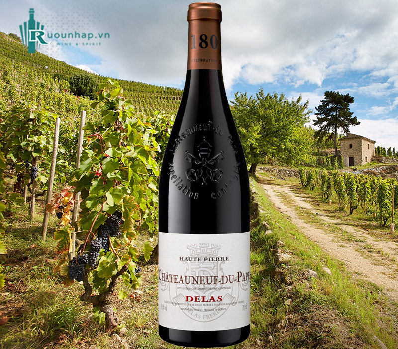 Rượu Vang Delas Haute Pierre
