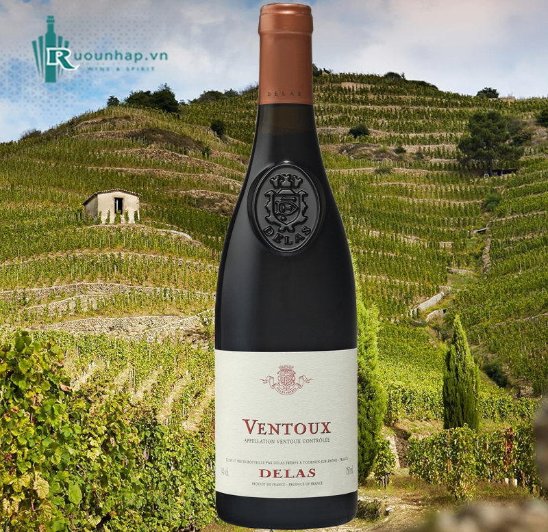 Rượu Vang Delas Ventoux