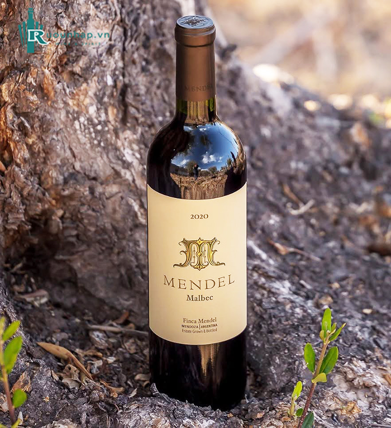 Rượu Vang Mendel Malbec