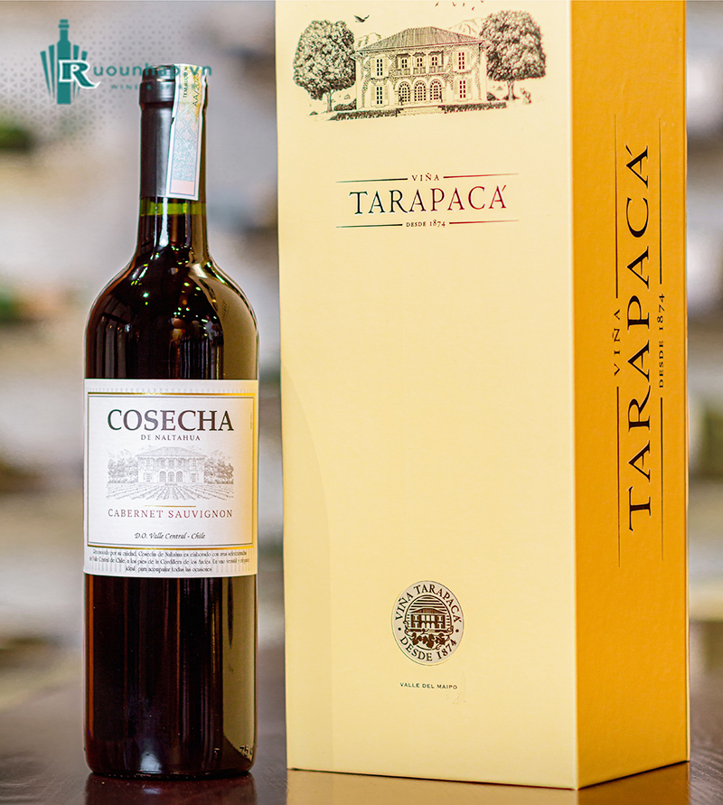 Rượu Vang Tarapaca Cosecha Cabernet Sauvignon 5 Rượu Vang Tarapaca Cosecha Cabernet Sauvignon