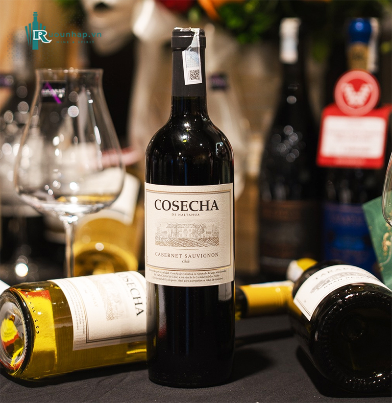 Rượu Vang Tarapaca Cosecha Cabernet Sauvignon 6 Rượu Vang Tarapaca Cosecha Cabernet Sauvignon