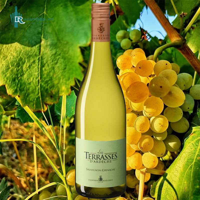 Rượu Vang Vignerons Les Terraces White