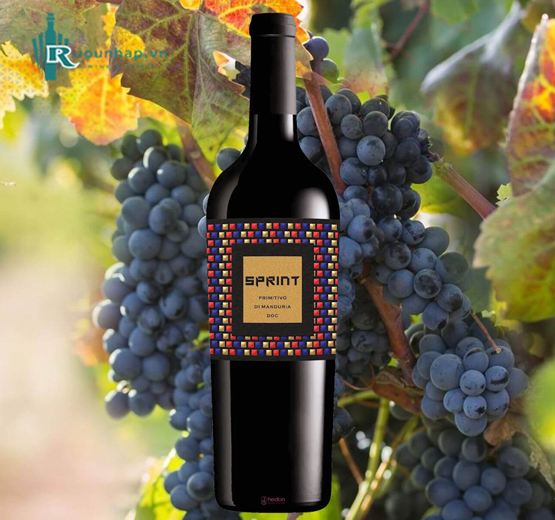 Rượu Vang Sprint Primitivo Di Manduria DOC 5 Rượu Vang Sprint Primitivo Di Manduria DOC