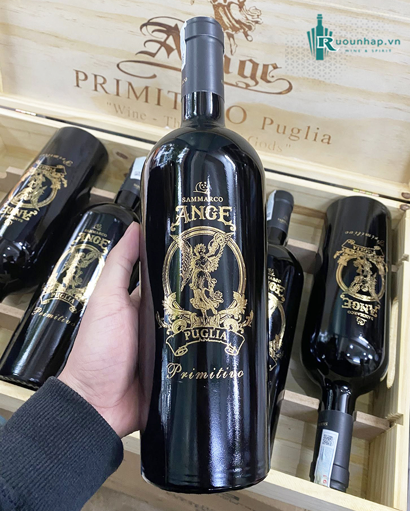 Rượu Vang Ange Puglia Primitivo 4 Rượu Vang Ange Puglia Primitivo