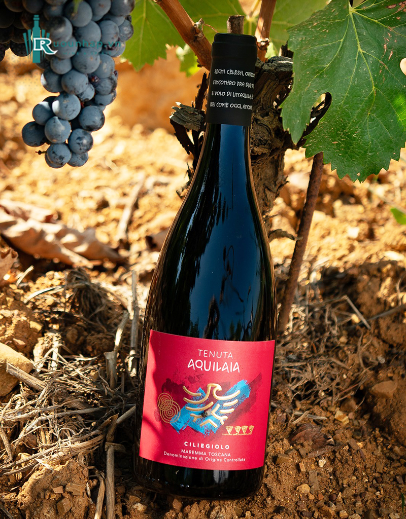 Rượu Vang Tenuta Aquilaia Ciliegiolo 5 Rượu Vang Tenuta Aquilaia Ciliegiolo