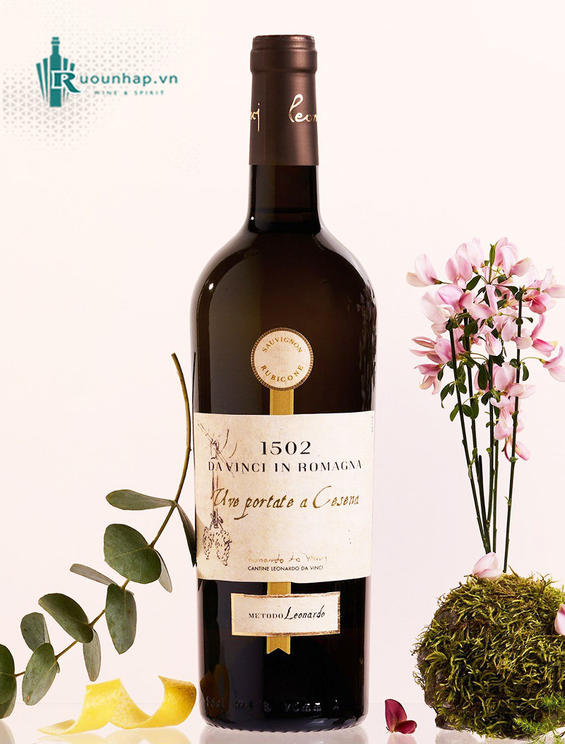 Rượu Vang 1502 Da Vinci Romagna Uve Portate a Cesena Sauvignon 5 Rượu Vang 1502 Da Vinci Romagna Uve Portate a Cesena Sauvignon