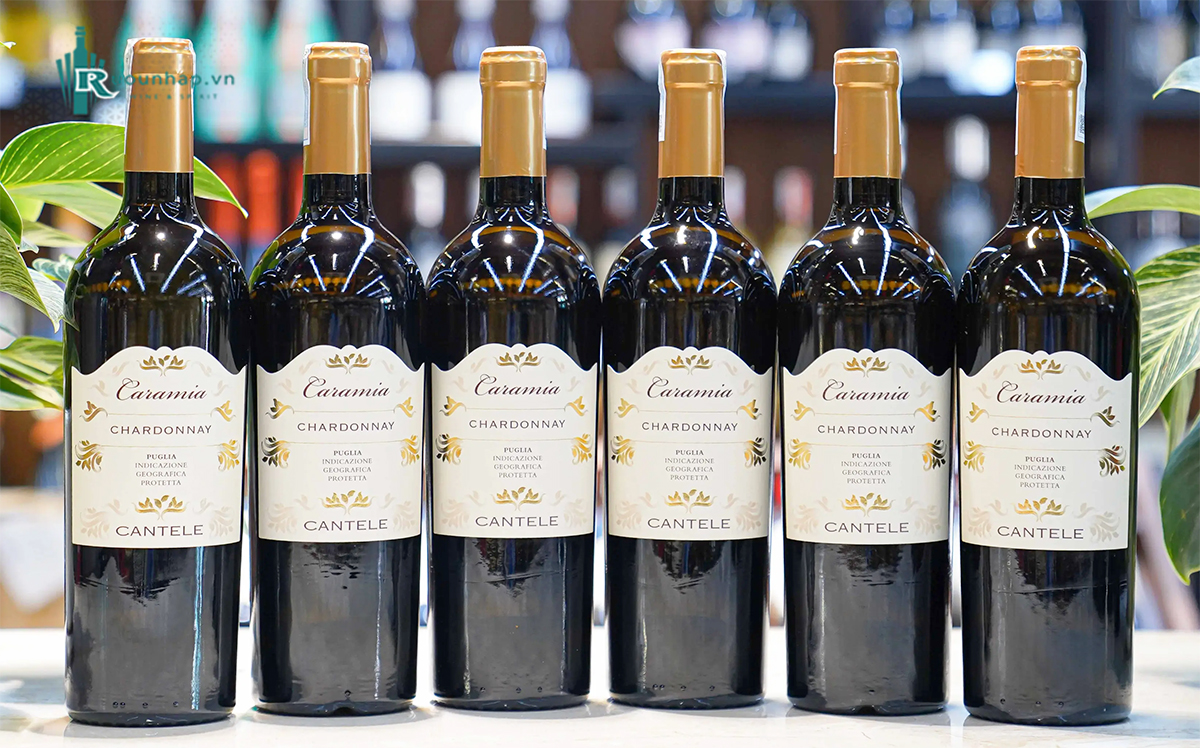 Rượu Vang Cantele Caramia Chardonnay 5 Rượu Vang Cantele Caramia Chardonnay
