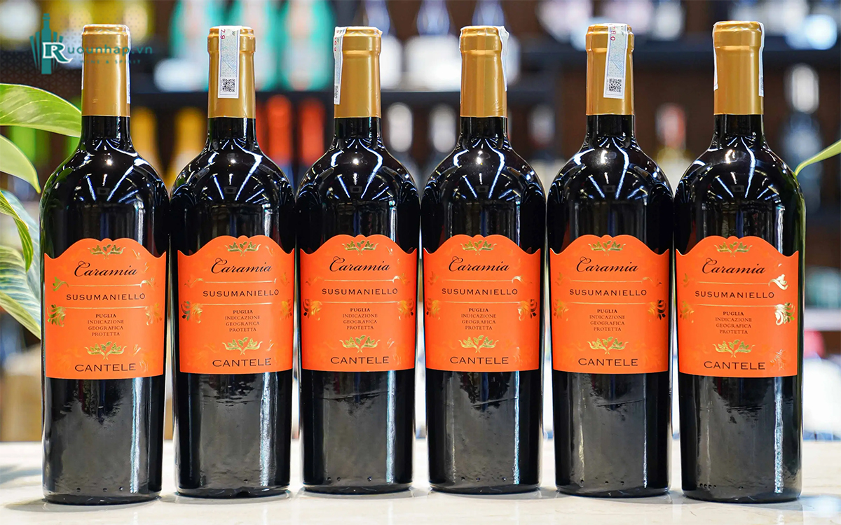 Rượu Vang Cantele Caramia Susumaniello 6 Rượu Vang Cantele Caramia Susumaniello