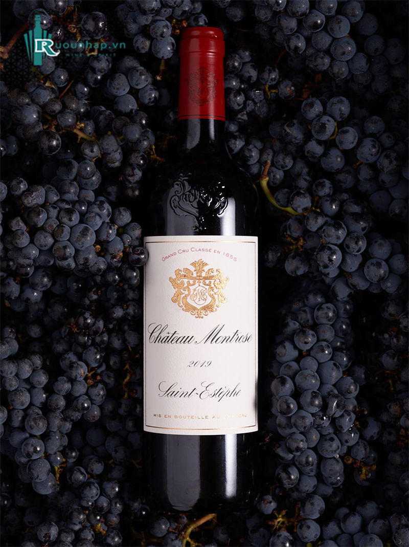Rượu Vang Chateau Montrose 5 Rượu Vang Chateau Montrose