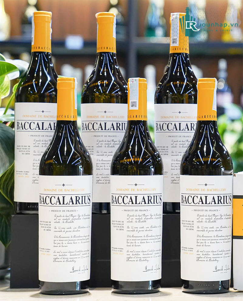 Rượu Vang Domaine de Bachellery Baccalarius Blanc 6 Rượu Vang Domaine de Bachellery Baccalarius Blanc