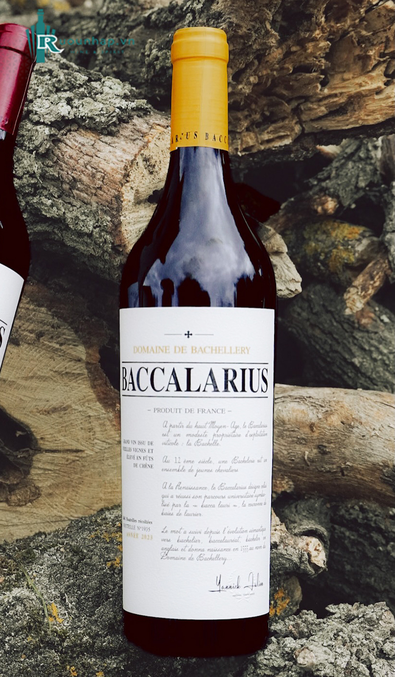 Rượu Vang Domaine de Bachellery Baccalarius Blanc 4 Rượu Vang Domaine de Bachellery Baccalarius Blanc