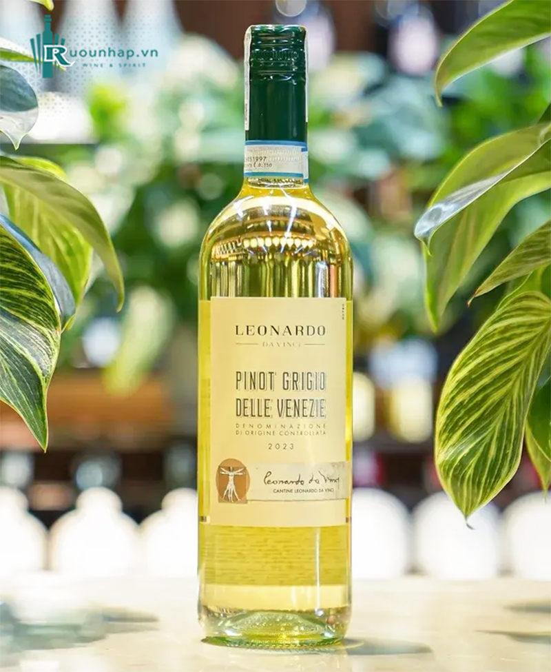 Rượu Vang Leonardo Da Vinci Pinot Grigio Delle Venezie 4 Rượu Vang Leonardo Da Vinci Pinot Grigio Delle Venezie