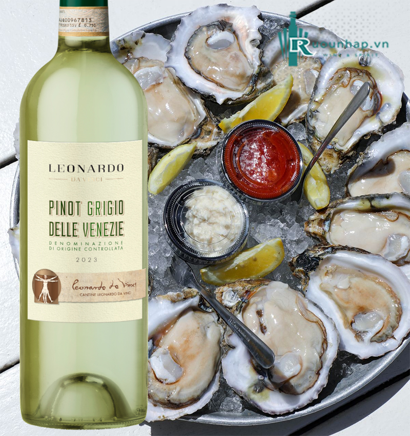 Rượu Vang Leonardo Da Vinci Pinot Grigio Delle Venezie 6 Rượu Vang Leonardo Da Vinci Pinot Grigio Delle Venezie