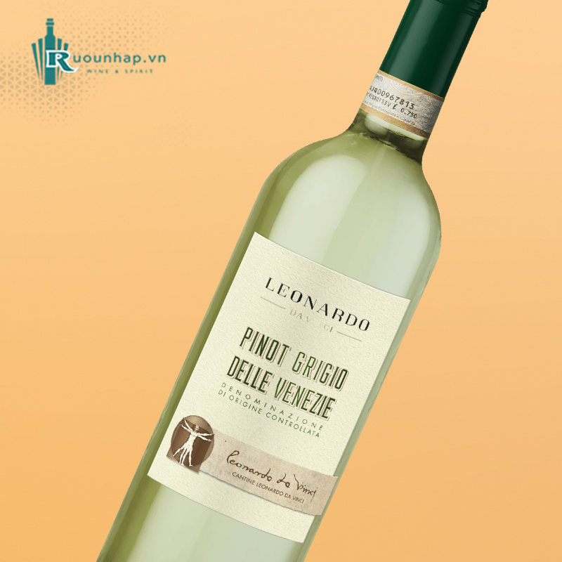 Rượu Vang Leonardo Da Vinci Pinot Grigio Delle Venezie 5 Rượu Vang Leonardo Da Vinci Pinot Grigio Delle Venezie