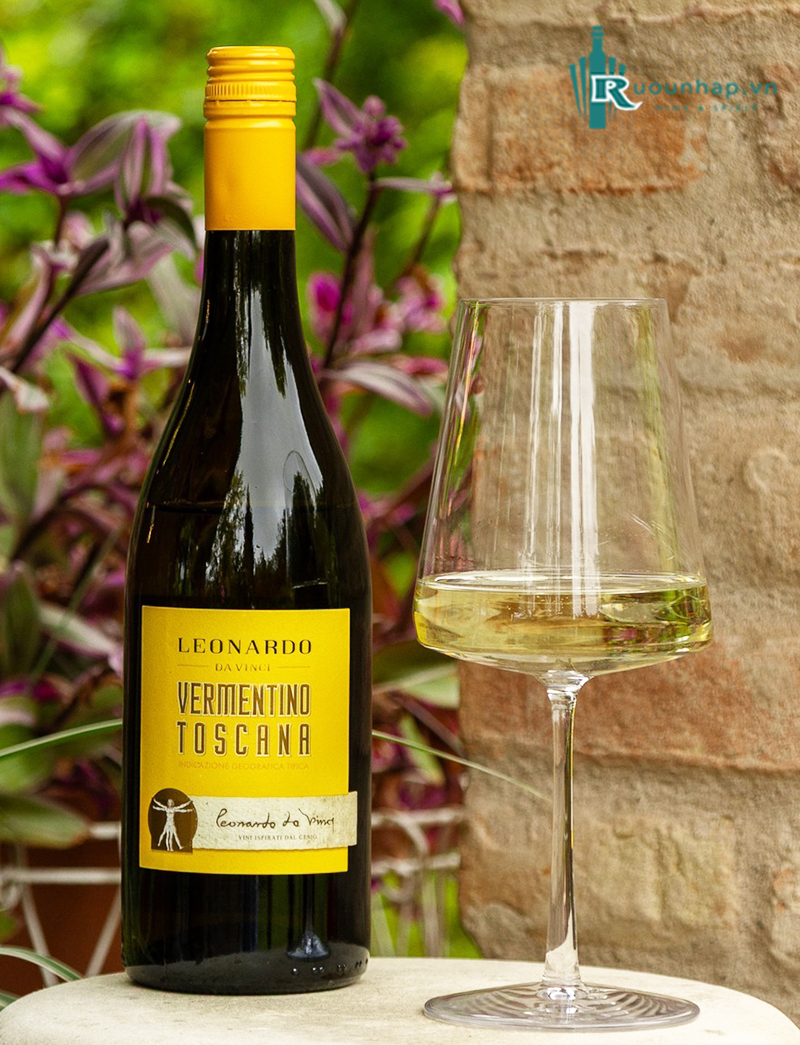 Rượu Vang Leonardo Da Vinci Vermentino Toscana 6 Rượu Vang Leonardo Da Vinci Vermentino Toscana