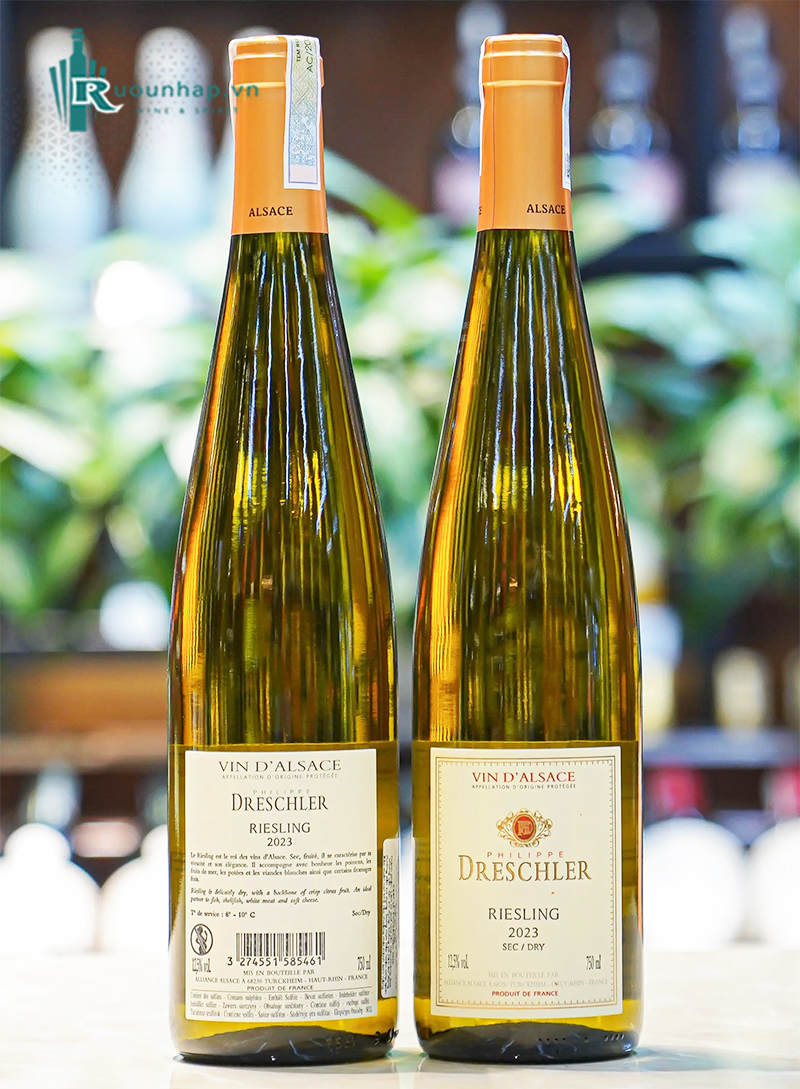 Rượu Vang Philippe Dreschler Riesling 6 Rượu Vang Philippe Dreschler Riesling
