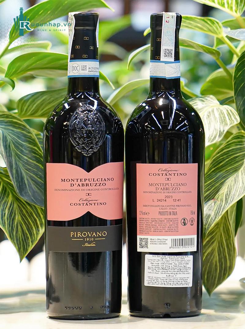 Rượu Vang Pirovano Collezione Costantino Montepulciano 5 Rượu Vang Pirovano Collezione Costantino Montepulciano