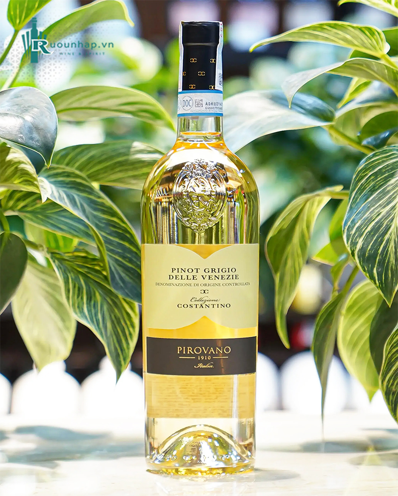 Rượu Vang Pirovano Collezione Costantino Pinot Grigio 6 Rượu Vang Pirovano Collezione Costantino Pinot Grigio