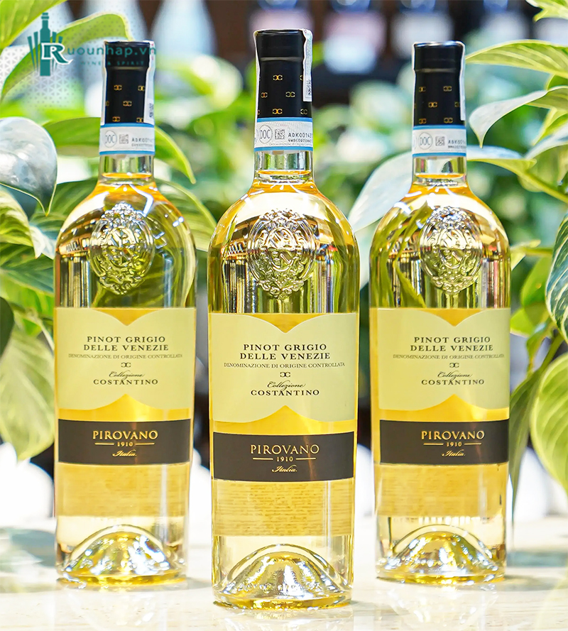 Rượu Vang Pirovano Collezione Costantino Pinot Grigio 5 Rượu Vang Pirovano Collezione Costantino Pinot Grigio
