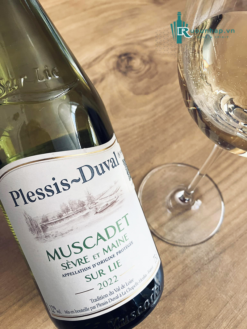 Rượu Vang Plessis Duval Muscadet Sevre Et Maine 6 Rượu Vang Plessis Duval Muscadet Sevre Et Maine